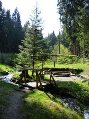 Das Lohenbachtal - Wassertretbecken - in Tannenberg - Geyer