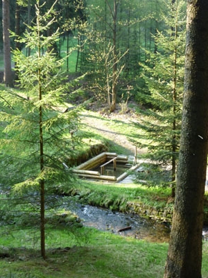 Das Lohenbachtal - Wassertretbecken - in Tannenberg - Geyer